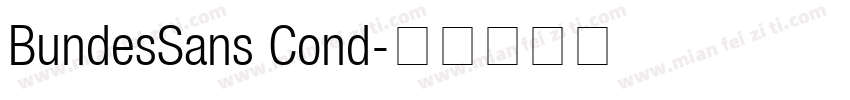 BundesSans Cond字体转换